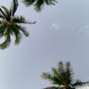 Meet your Posher, Lucia